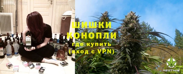 ГАЛЛЮЦИНОГЕННЫЕ ГРИБЫ Заволжье
