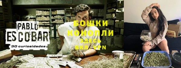 ГАЛЛЮЦИНОГЕННЫЕ ГРИБЫ Заволжье